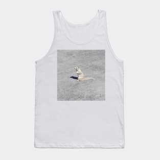 Ground squirrel, Silverwood Lake, San Bernardino Mountains, California. Tank Top